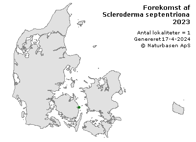 Scleroderma septentrionale - udbredelseskort
