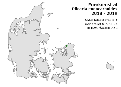 Plicaria endocarpoides - udbredelseskort