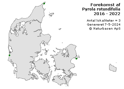 Pyrola rotundifolia - udbredelseskort