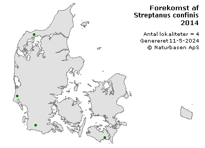 Streptanus confinis - udbredelseskort