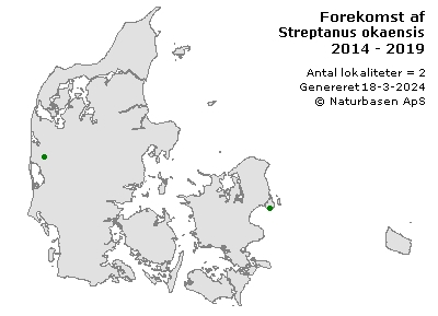 Streptanus okaensis - udbredelseskort