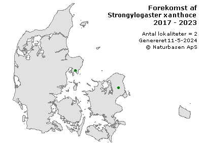 Strongylogaster xanthocera - udbredelseskort