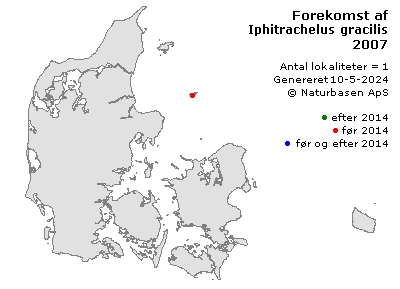 Iphitrachelus gracilis - udbredelseskort