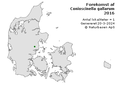 Conioscinella gallarum - udbredelseskort