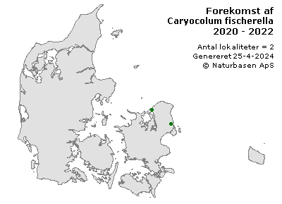 Caryocolum fischerella - udbredelseskort