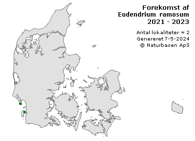 Eudendrium ramosum - udbredelseskort