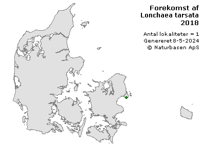 Lonchaea tarsata - udbredelseskort