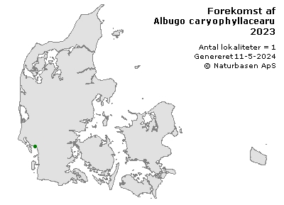 Albugo caryophyllacearum - udbredelseskort