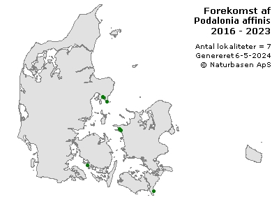 Podalonia affinis - udbredelseskort