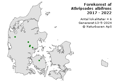 Athripsodes albifrons - udbredelseskort