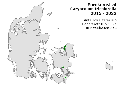 Caryocolum tricolorella - udbredelseskort
