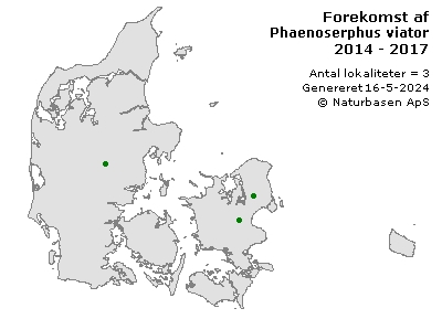 Phaenoserphus viator - udbredelseskort