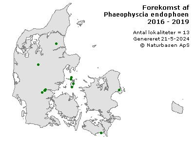 Phaeophyscia endophoenicea - udbredelseskort