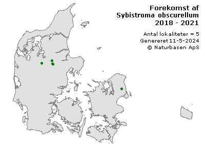 Sybistroma obscurellum - udbredelseskort