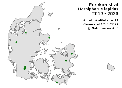 Harpiphorus lepidus - udbredelseskort