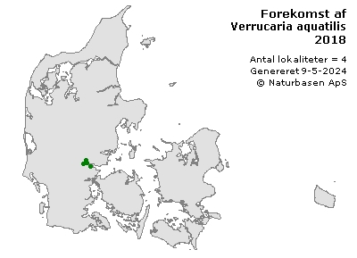 Verrucaria aquatilis - udbredelseskort