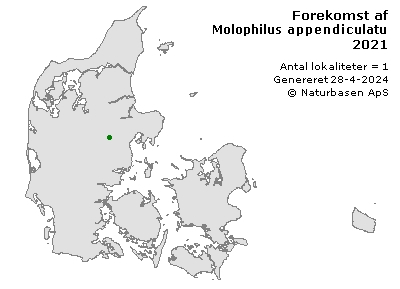 Molophilus appendiculatus - udbredelseskort