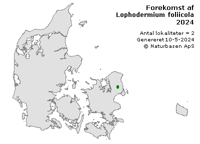 Lophodermium foliicola - udbredelseskort