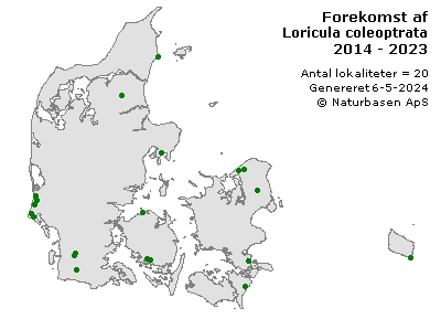 Loricula coleoptrata - udbredelseskort