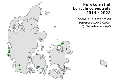 Loricula coleoptrata - udbredelseskort