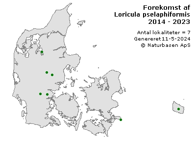 Loricula pselaphiformis - udbredelseskort