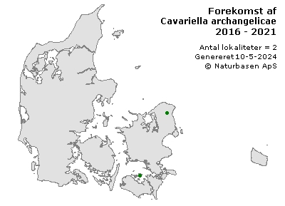 Cavariella archangelicae - udbredelseskort