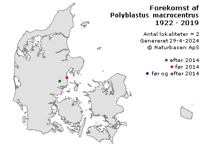 Polyblastus macrocentrus - udbredelseskort