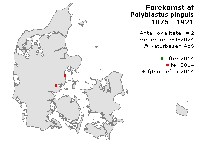 Polyblastus pinguis - udbredelseskort