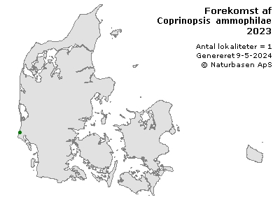Coprinopsis ammophilae - udbredelseskort