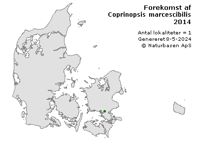 Coprinopsis marcescibilis - udbredelseskort