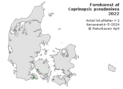 Coprinopsis pseudonivea - udbredelseskort