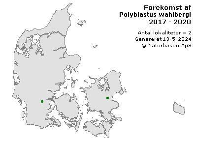Polyblastus wahlbergi - udbredelseskort