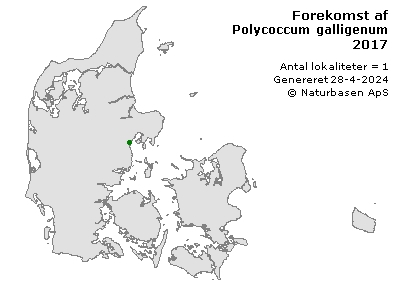 Polycoccum galligenum - udbredelseskort