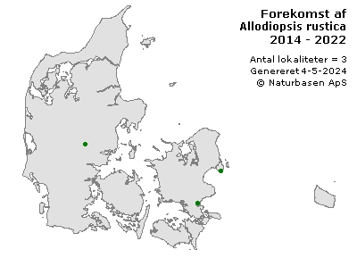 Allodiopsis rustica - udbredelseskort