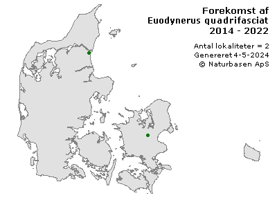 Euodynerus quadrifasciatus - udbredelseskort