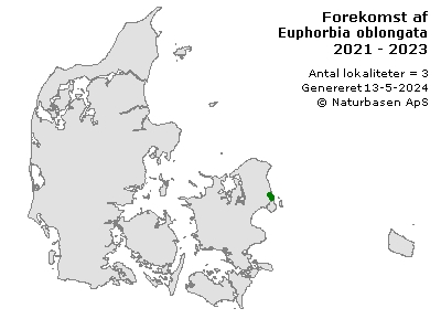 Euphorbia oblongata - udbredelseskort