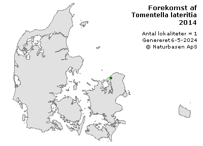 Tomentella lateritia - udbredelseskort
