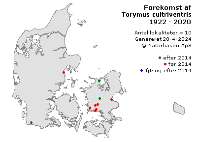 Torymus cultriventris - udbredelseskort