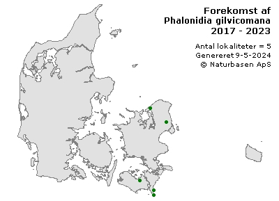 Phalonidia gilvicomana - udbredelseskort