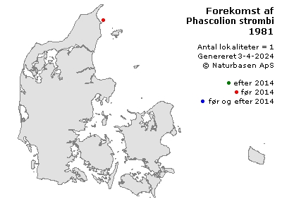 Phascolion strombi - udbredelseskort