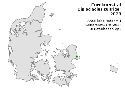 Diplocladius cultriger - udbredelseskort