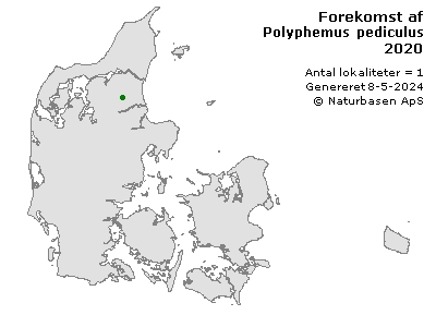 Polyphemus pediculus - udbredelseskort