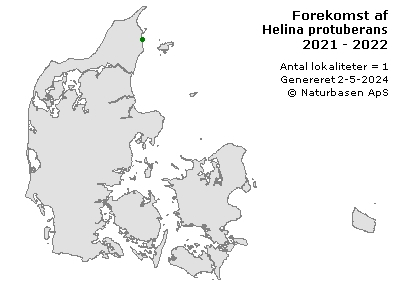Helina protuberans - udbredelseskort