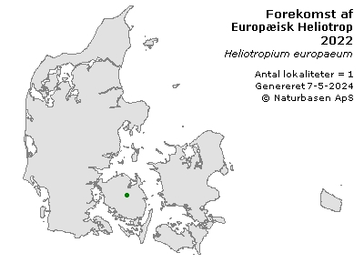 Europæisk Heliotrop - udbredelseskort