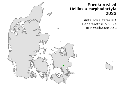 Hellinsia carphodactyla - udbredelseskort