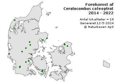 Ceratocombus coleoptratus - udbredelseskort