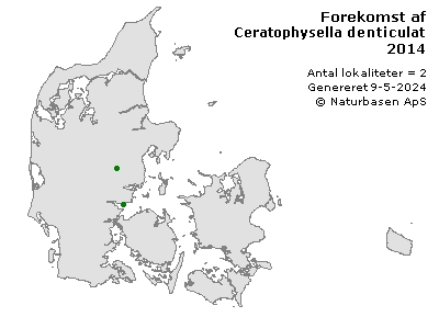Ceratophysella denticulata - udbredelseskort