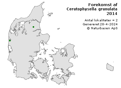 Ceratophysella granulata - udbredelseskort