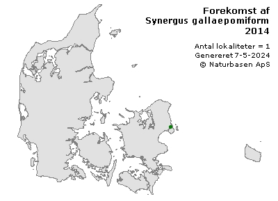 Synergus gallaepomiformis - udbredelseskort
