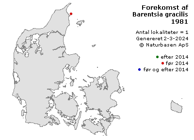 Barentsia gracilis - udbredelseskort